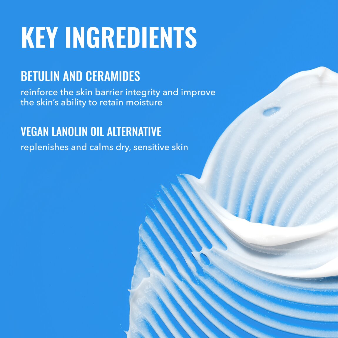 rich-cream-with-ceramides-l5 zb_p.jpg